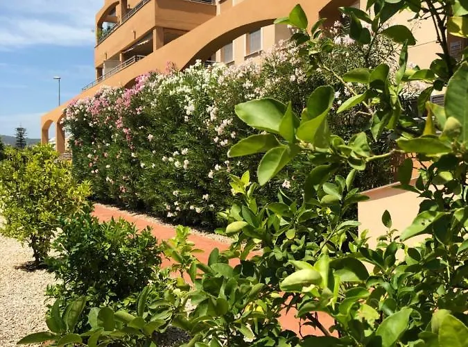 Deluxe & شقة دينايا